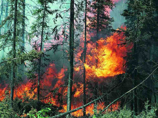 Ermənistan Göygölü atəşə tutdu: Meşədə yanğın başladı