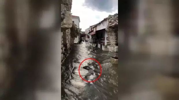 İzmirdə seli lentə alan gənc nənəsinin meyitini tapdı - VİDEO