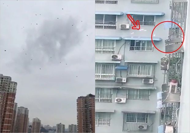 Çinli kişi yoldan keçənləri “pul yağışı”na tutdu - VİDEO