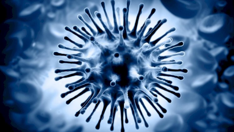 Qrip virusu nəyin səthində daha çox qalır?