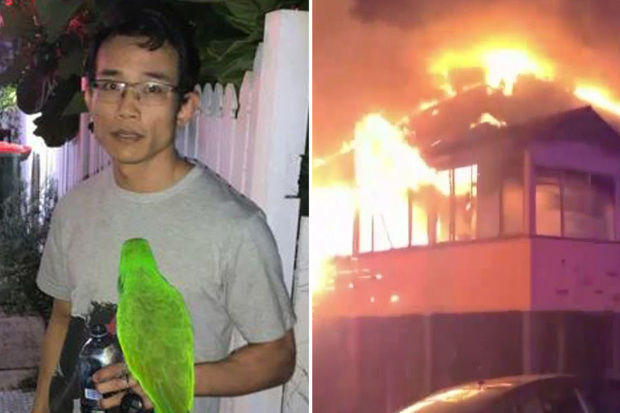 Tutuquşu yuxuda olan ev sahibini çağıraraq, onu diri-diri yanmaqdan xilas etdi - VİDEO