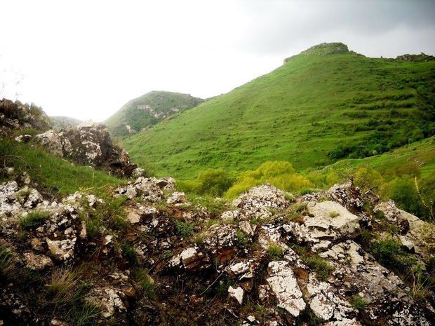 Nazirlik ermənilərin ərazilərimizdə törətdiyi ekoloji terrorla bağlı məlumat yaydı