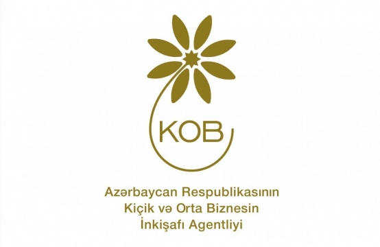 Müdafiə sənayesinin inkişafına dair Azərbaycan-Türkiyə Birgə Forumu keçiriləcək