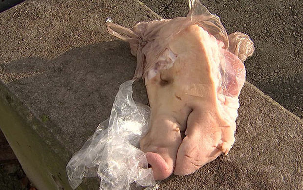 Ermənilərdən çirkin təxribat: Azərbaycanla Türkiyə səfirliklərinin önünə donuz başı qoydular - VİDEO