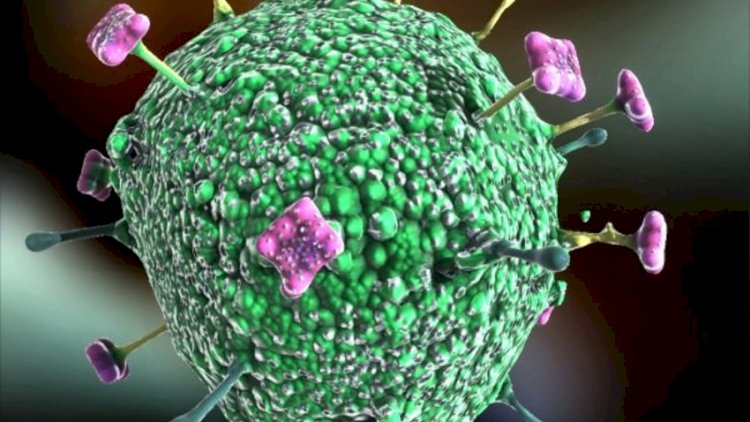 Yeni pandemiya riski barədə xəbərdarlıq