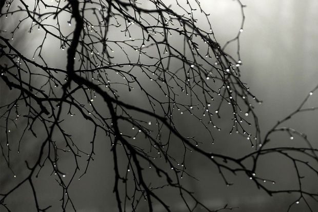 Sabahın havası: Dağlarda şaxta olacaq