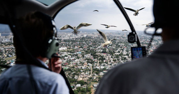 Пассажирский самолет столкнулся со стаей птиц в Казахстане - ВИДЕО