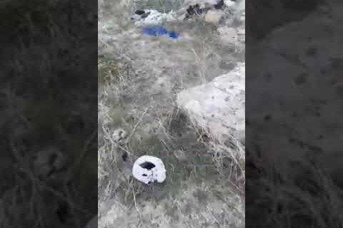 Məzarda yatan ölüləri belə rahat buraxmırlar - VİDEO