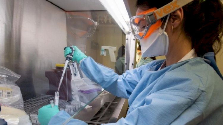 Gürcüstanda son sutkada koronavirusdan 45 nəfər ölüb