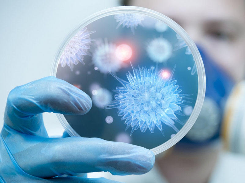 Azərbaycanda son sutkada 2239 nəfər COVID-19-a yoluxub