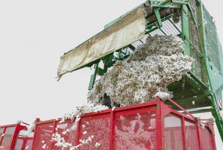 Ağdamın keçmiş təmas xəttinin sıfır nöqtəsində yerləşən kəndlərində pambıq yığımına başlanıldı