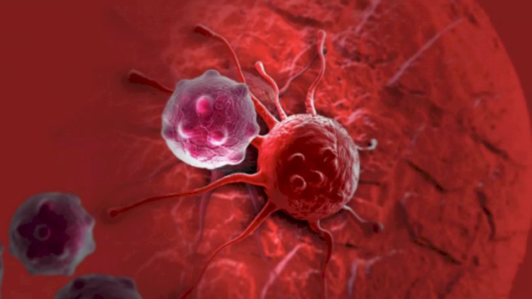 Qidanı xərçəng xəstəliyinə çevirən əsas səhv açıqlandı