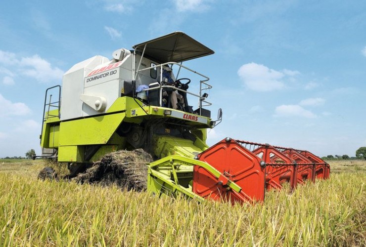 2020-ci ildə çəltikçilikdə orta məhsuldarlıq göstəriciləri yüksəlib