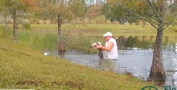 Во Флориде мужчина вытащил из пасти аллигатора свою собаку - ВИДЕО
