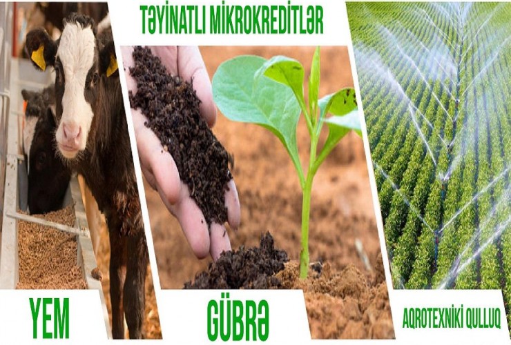 Bu ilin 11 ayı ərzində AKİA xətti ilə verilən aqrar kredit və güzəştlərdən 5623 fermer və sahibkar yararlanıb