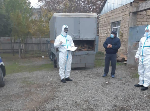 Beyləqanda karantin qaydalarını pozan iki COVID-19 xəstəsi aşkarlandı - FOTO