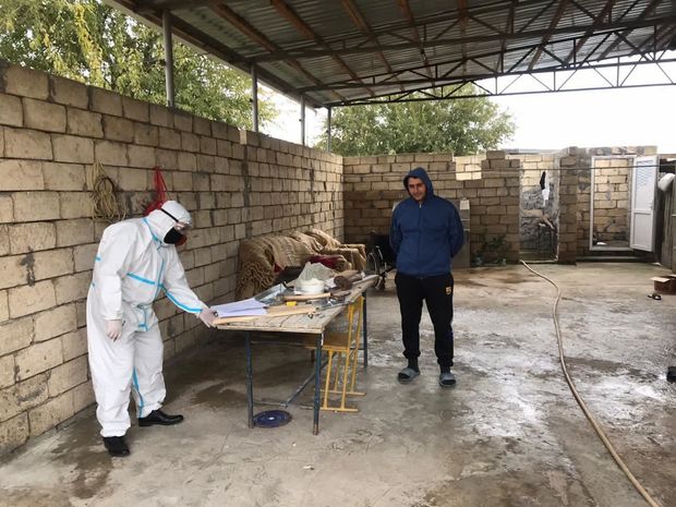 Saatlıda müalicə aldıqları ünvanı tərk edən iki COVID-19 xəstəsi müəyyən edildi - FOTO