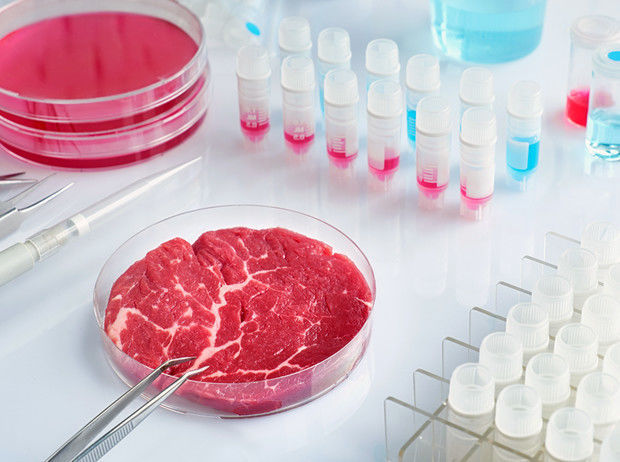 Власти Сингапура впервые в мире разрешили продажу искусственного мяса