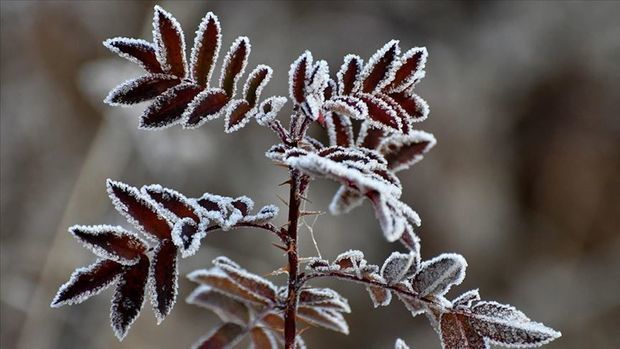 İstirahət gününün havası: Şaxta, qar, duman...