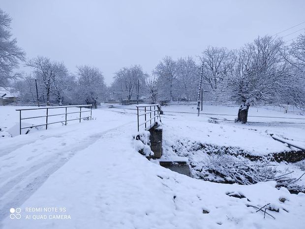 Şəki ağ örpəyə bürünüb - FOTO