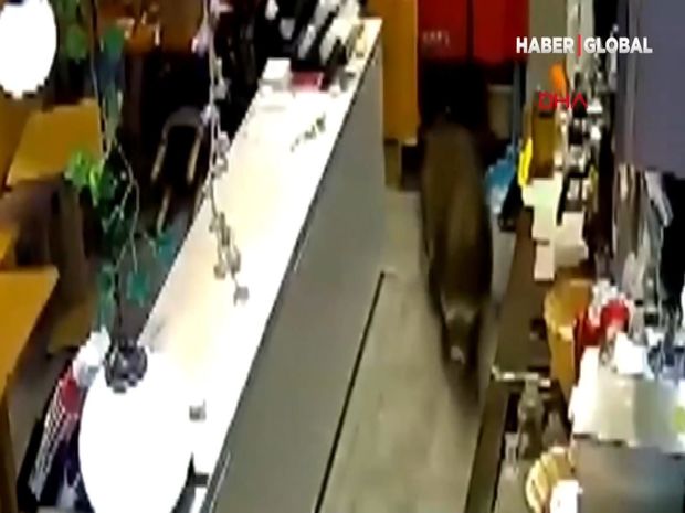 Ac qaban kafeyə hücum etdi - VİDEO