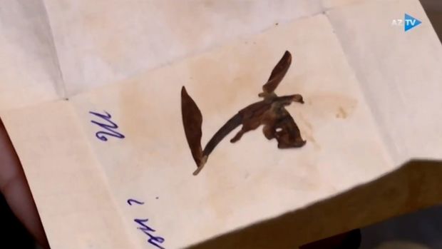 Qurudulmuş Xarı bülbülün kədərli hekayəsi: “Qardaşım itkin düşdü, Xarı bülbül bir də olmadı” - VİDEO