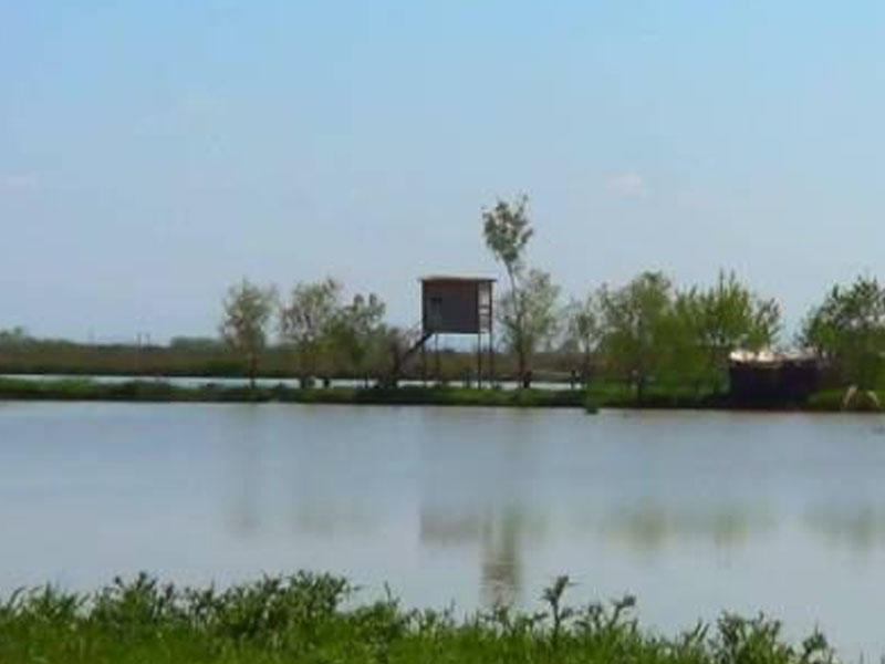 Bu çay və göllərdə ekoloji tarazlıq pozulub