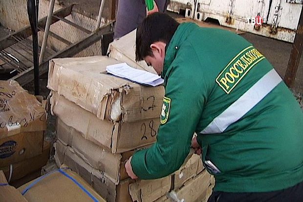 AQTA Rusiyanın ixrac qadağası ilə bağlı araşdırmalara başladı