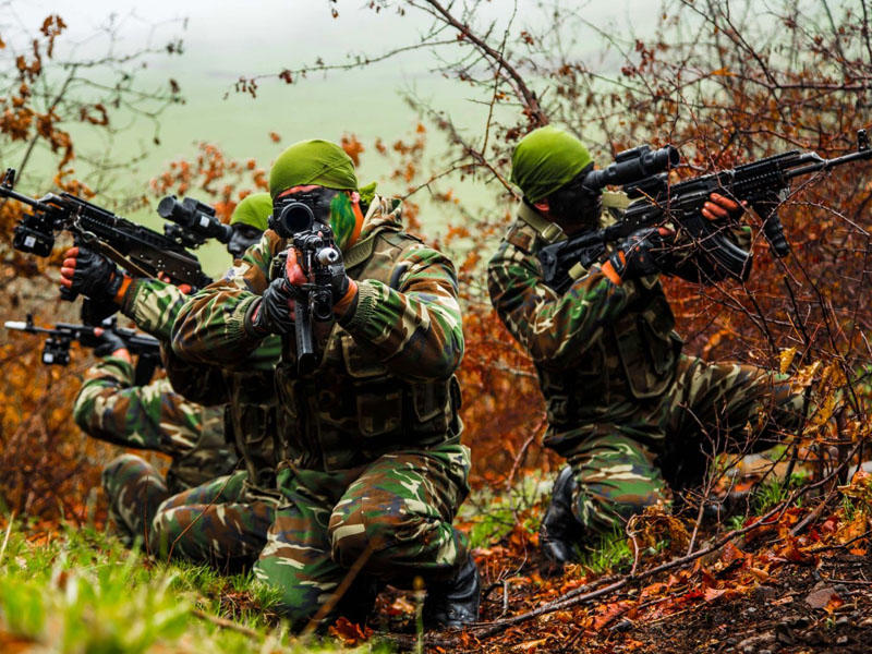 Участники Отечественной войны Азербайджана будут награждены еще рядом орденов и медалей - список наград