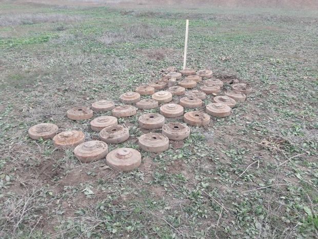 ANAMA продолжает обезвреживать мины и неразорвавшиеся боеприпасы - ФОТО