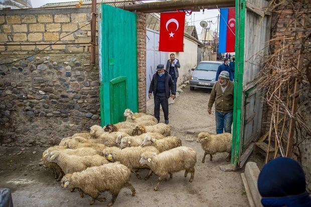 Члены семей шехидов привлечены к программе самозанятости - ФОТО