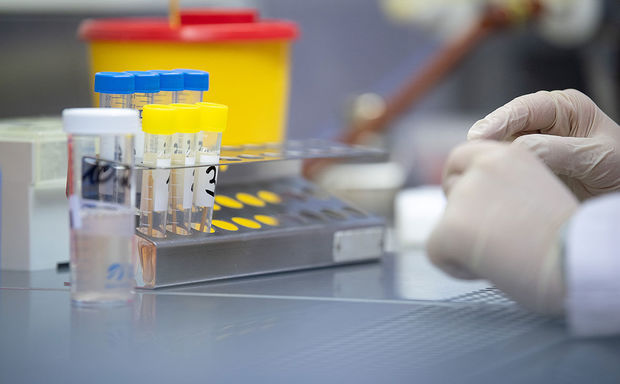 Ханде Харманджи назвала цель визита миссии ВОЗ в Азербайджан