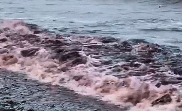 Qara dəniz “qırmızı dənizə” çevrildi - VİDEO