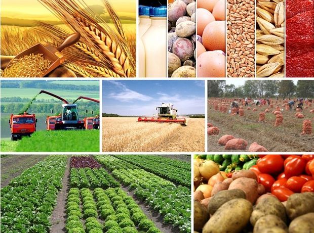 Azərbaycanda 8 milyard manata yaxın kənd təsərrüfatı məhsulu istehsal edilib