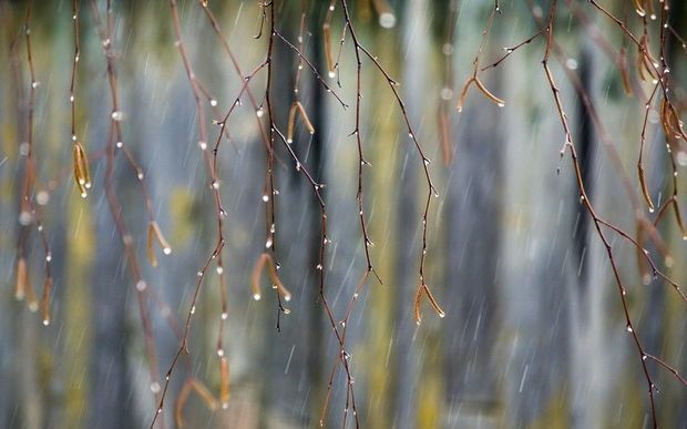 Sabahın havası: 10 dərəcə isti olacaq