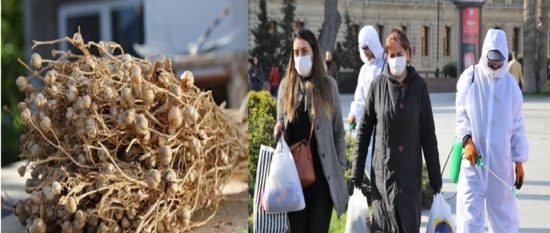 Üzərlik koronavirusdan SAĞALDIR? - Azərbaycanlı professordan AÇIQLAMA