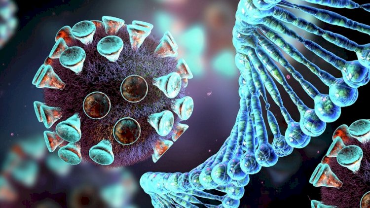 COVID-19-un yeni növü təhlükəli hesab edilmir