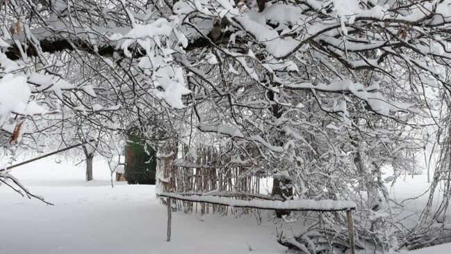 Yağış, qar yağacaq - SABAHIN HAVASI