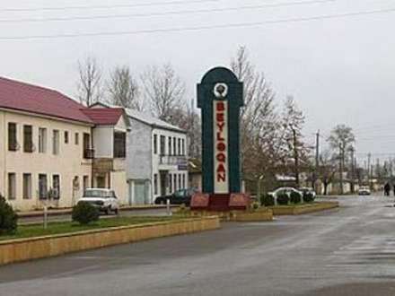 Beyləqan sakini icra başçısından Prezidentə şikayət ünvanladı