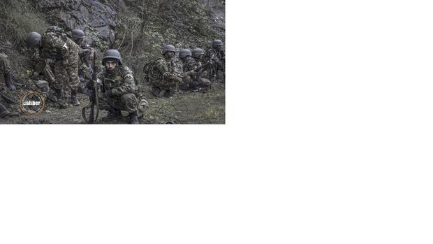 “Ermənistanda fərarilər üsyan edir, Xocavənd istiqamətində sahibsiz itlər zərərsizləşdirildi” - VİDEO