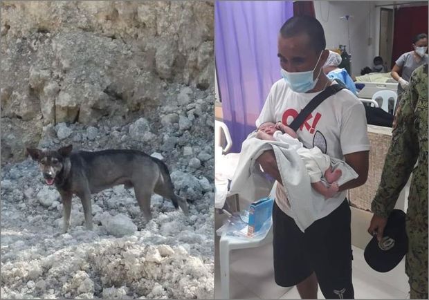 Sahibsiz it yeni doğulmuş körpənin həyatını xilas etdi - FOTO