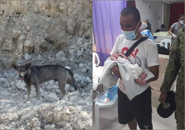 Бездомная собака помогла спасти брошенного новорожденного ребенка - ФОТО