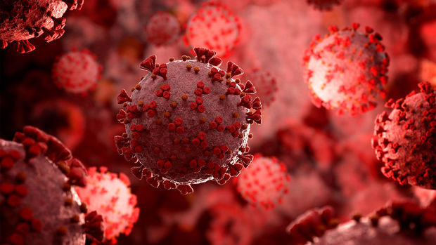 Создано новое средство против коронавирусной инфекции