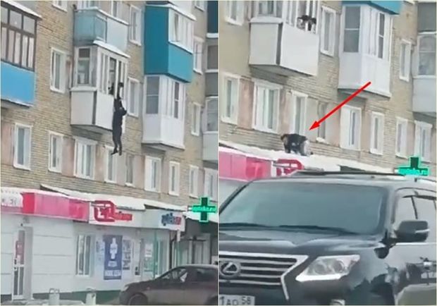 Gənc oğlanın sevgilisinin evindən qaçış anı - VİDEO