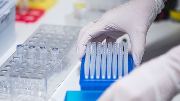 Вирусолог оценил данные о новой смертельной болезни в Конго