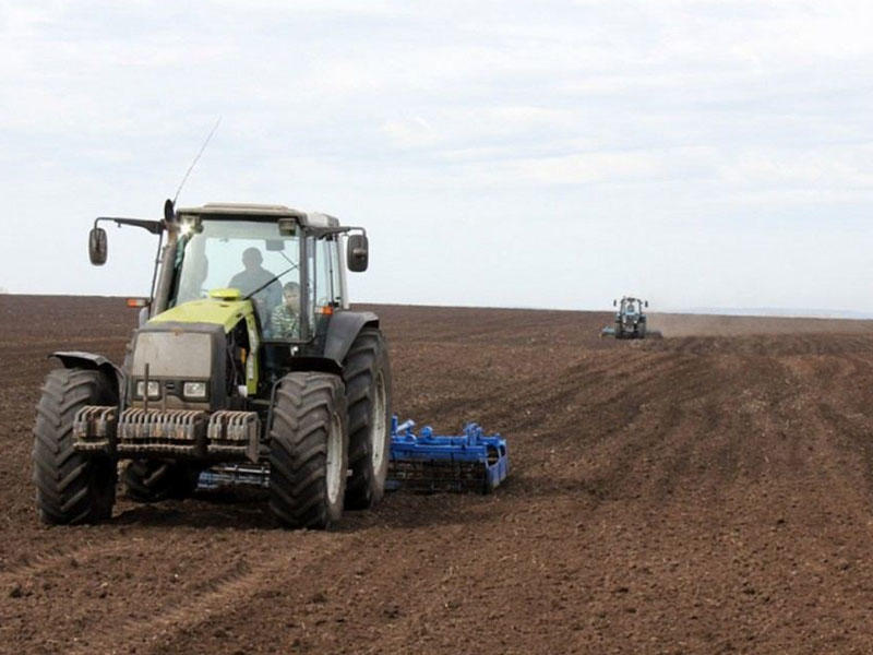 Füzulidə 28 min hektardan çox ərazidə buğda səpilib