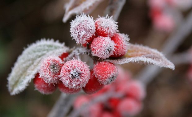 Прогноз погоды в Азербайджане на 9 января