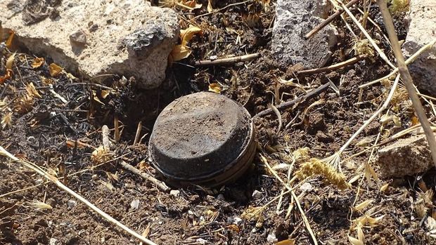 Suriyada 12 uşaq minaya düşüb: Həlak olanlar var