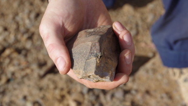 Древняя находка заставила археологов переосмыслить эволюцию человечества