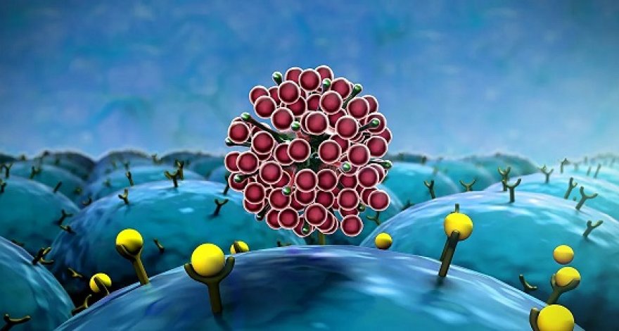 Ученые раскрыли происхождение коронавируса